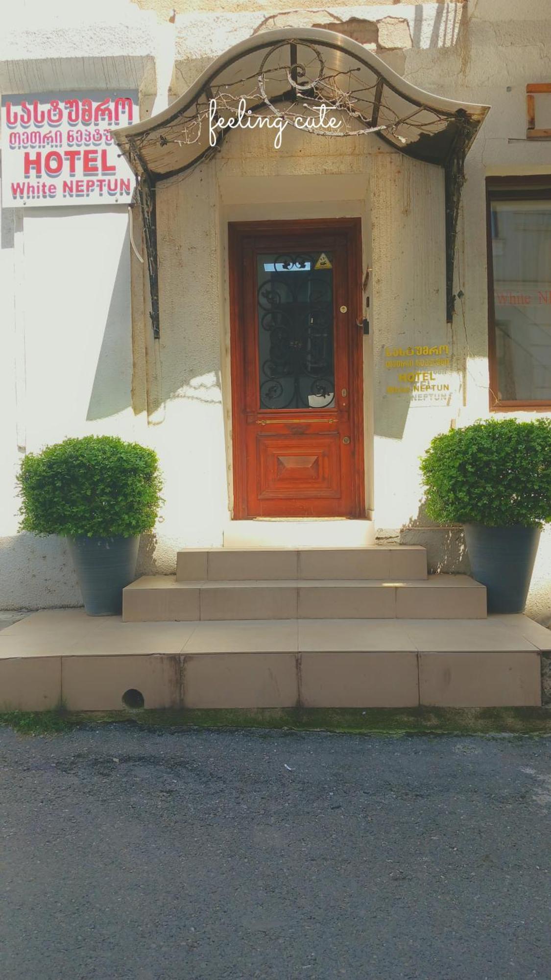 Hotel White Neptun Georgia Tbilisi Zewnętrze zdjęcie